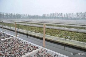 十大冷门暴利生意创业 一万元能搞什么养殖