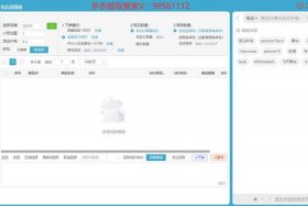 淘宝补单软件（淘宝补单软件大）