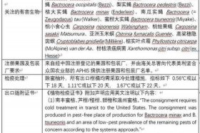 个人怎么接外贸订单水果、外贸水果需要哪些条件