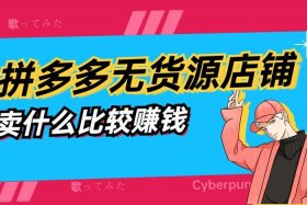 0成本无货源开网店拼多多（无货源在拼多多开店）