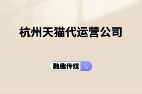 杭州的大型电商代运营公司、杭州的大型电商代运营公司排名
