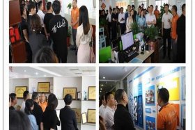 电商公司简介（龙道电商公司简介）