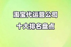 西安淘宝代运营公司排名第一（西安最大代运营公司）