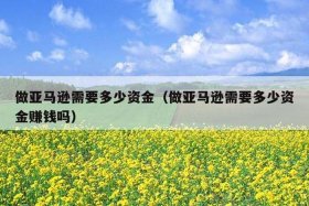 做亚马逊需要多少资金速卖通 - 做亚马逊要多少成本