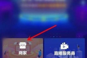 淘宝店铺怎么开子账号；淘宝店铺开子账号让别人居家直播可以吗