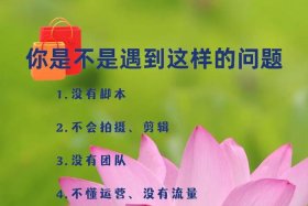 正规的代运营公司能帮客人赚到钱吗；代运营公司可以去吗