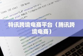 个人跨境电商有什么平台；个人跨境电商有什么平台推广