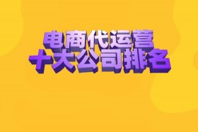 实体店铺代运营 实体店代运营公司是什么意思