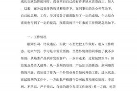 电商运营试用期内对工作的总结、电商试用期工作述职工作心得