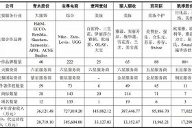 电商运营十强公司；电商运营公司排行