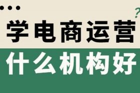 国内电商运营是什么 - 国内电商运营好做吗