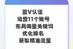北京代运营公司排行榜（北京抖音代运营公司排名）