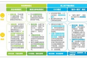 电商平台营销模式的创新和优势（电商平台营销的发展现状）