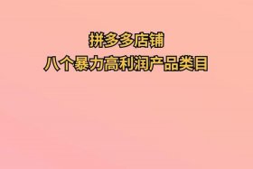 现在做电商还有前景吗拼多多；现在拼多多电商好做吗
