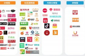 电商种类（电商分为哪些）