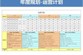 淘宝项目运营模型策划 - 淘宝运营项目描述