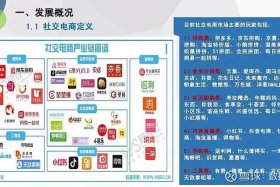 电商的了解；国内电商的了解