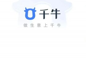 千牛引流推广怎么做（千牛app推广）