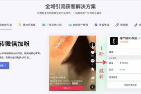 获客软件排名前十名、获客软件排名前十名,如信用家,保驾护航网等