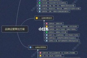 运营品牌建设 - 品牌运营实施方案