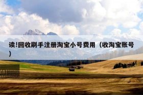 刷手最多有几个淘宝号 - 一个刷手可以有几个号