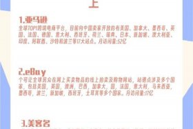 适合个人做的电商平台（自己做电商平台）