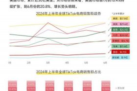 2024年电商数据报告 - 21年电商