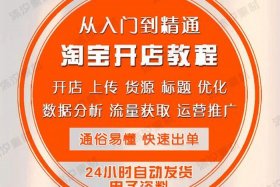 500元开网店怎么运营 - 500元能开怎么样的网店
