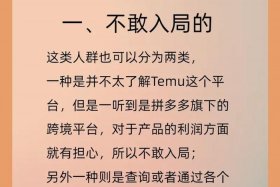 跨境电商诈骗、temu跨境电商诈骗