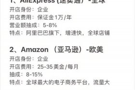 虾皮跨境电商官网怎么样、虾皮跨境电商平台
