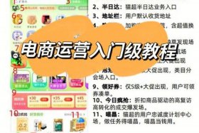 如何学做电商运营赚钱，新手如何学电商运营