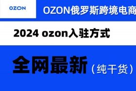 俄罗斯电商平台ozon入驻条件；做俄罗斯的跨境电商平台