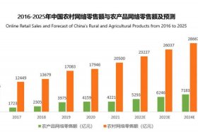 如何去做电商生意（2021怎么做电商）