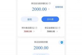 淘宝游戏专营店铺保证金（淘宝游戏专营店铺保证金20000）