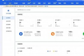 淘宝刷店铺；淘宝刷店铺浏览量