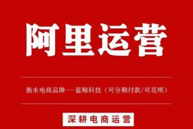 阿里淘宝运营 阿里淘宝运营工作内容
