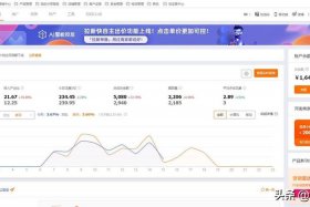 淘宝前期推广 - 淘宝前期推广员收入怎么样