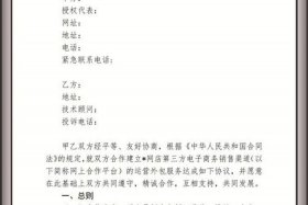 网店托管怎么理解、网店托管协议