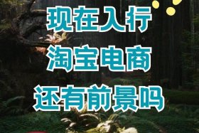 我想做电商怎么入行、我想做电商怎么入行呢