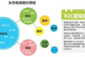 电商如何发展起来的（电商如何快速发展）