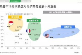 跨境电商怎么做新手入门俄罗斯生意 - 俄罗斯的跨境电商品类包括哪些？