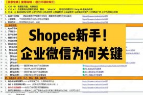 虾皮跨境电商运营自学全套教程，虾皮跨境电商运营实战