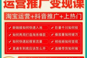 淘宝店铺运营教学视频；淘宝店铺运营教学视频教程