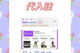 淘宝入驻代办；淘宝开店代办