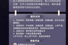如何做无货源电商赚钱、无货源电商是怎么做