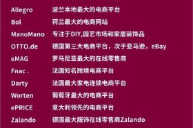 跨境电商哪个平台好呢（跨境电商哪个平台比较好）