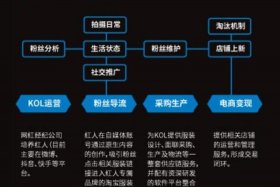 什么是电商运营通俗；电商运营是啥意思