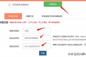 网店补单软件 网店补单软件哪个好