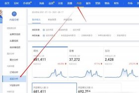 淘宝流量助手 - 淘宝流量助手平台在哪里找