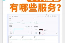 代运营服务费计入什么科目（代运营服务费计入什么科目里）